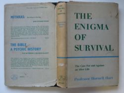 The Enigma of Survival - The Case For and Against an After Life
