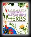 Rodales Illustrated Encyclopedia of Herbs