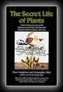 The Secret Life of Plants - A Fascinating Account of the Physical, Emotional, and Spiritual between Plants and Man