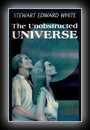 The Unobstructed Universe