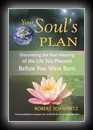 Your Soul's Plan: Discovering the Real Meaning of the Life You Planned Before You Were Born